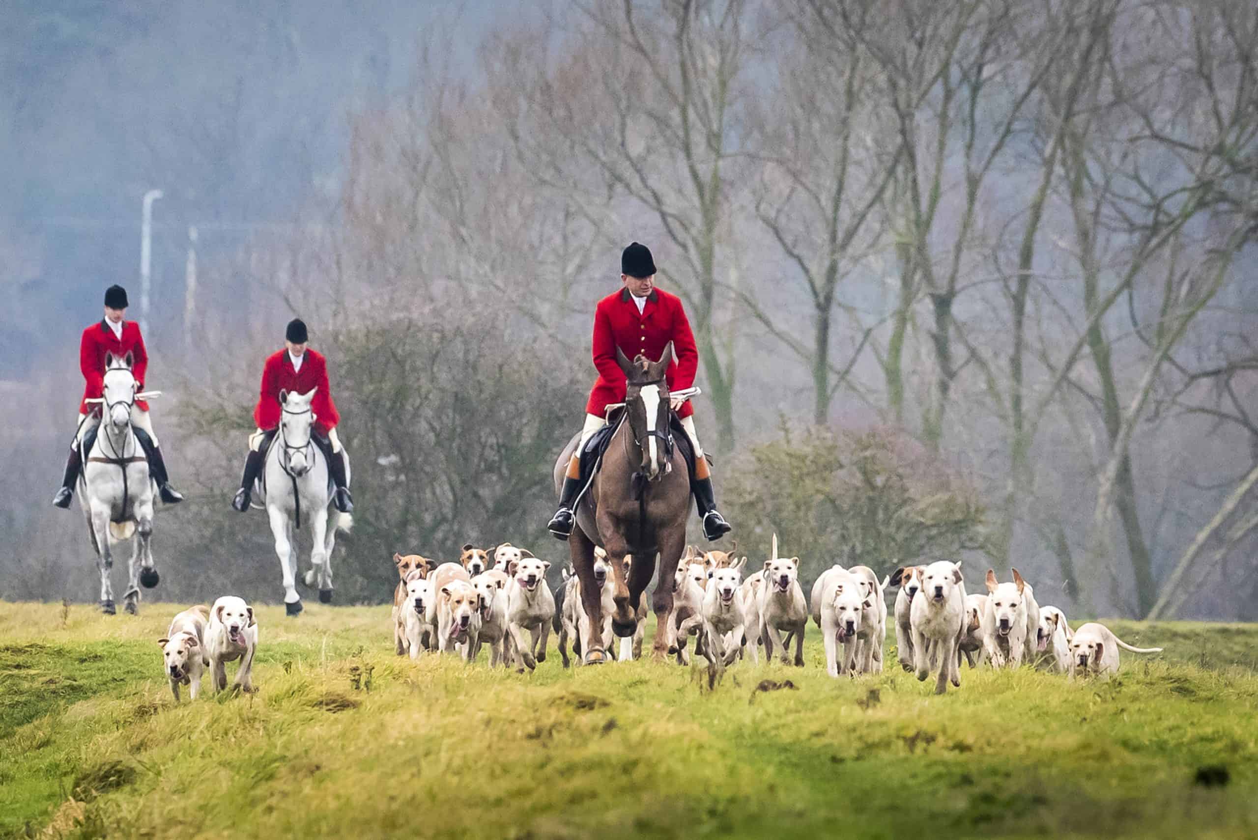 Pro-foxhunting group wants UK hunters to become a protected ethnic minority