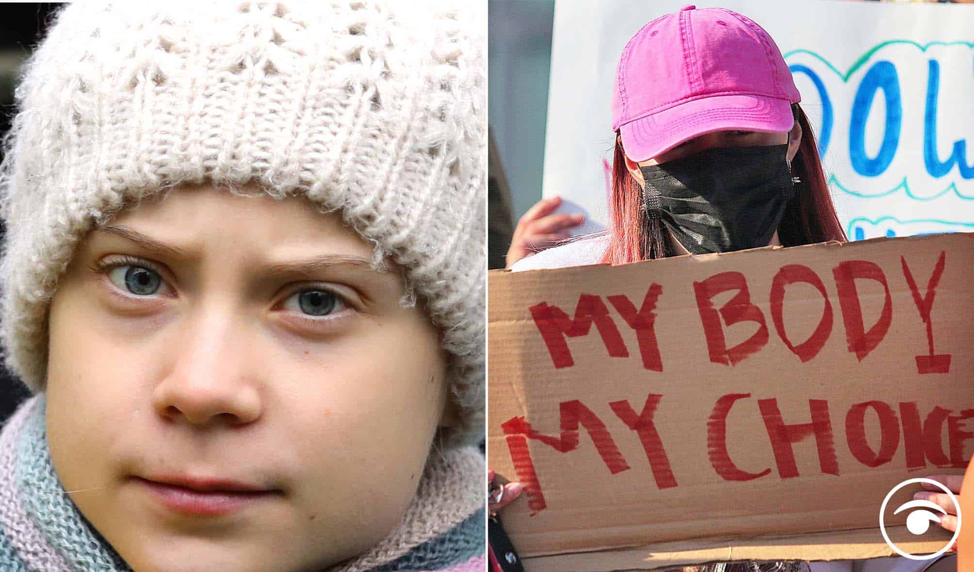 Greta Thunberg shares powerful chart that explains why women get abortions