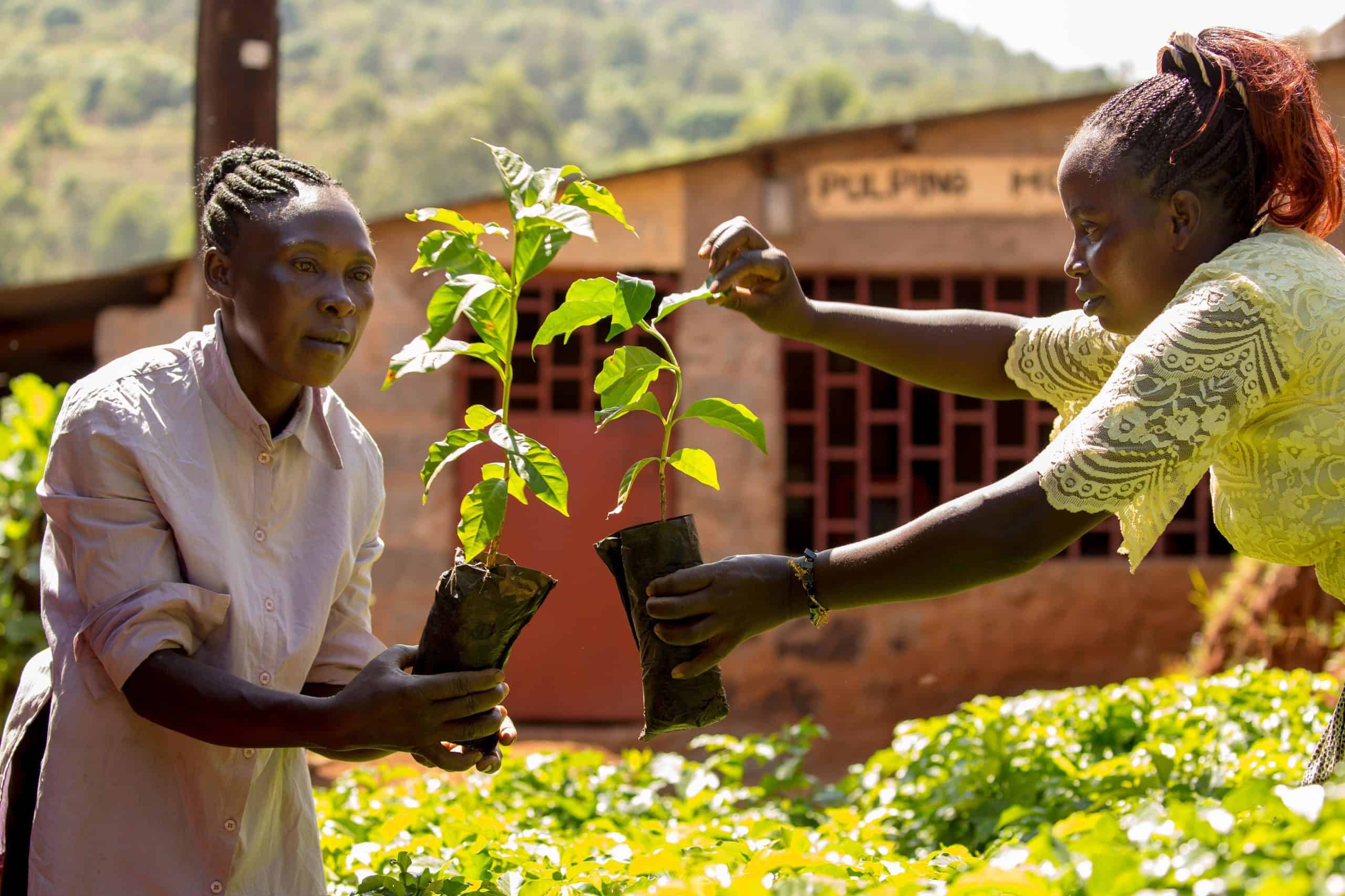 Keep your promises: Fairtrade farmers’ COP challenge to world leaders