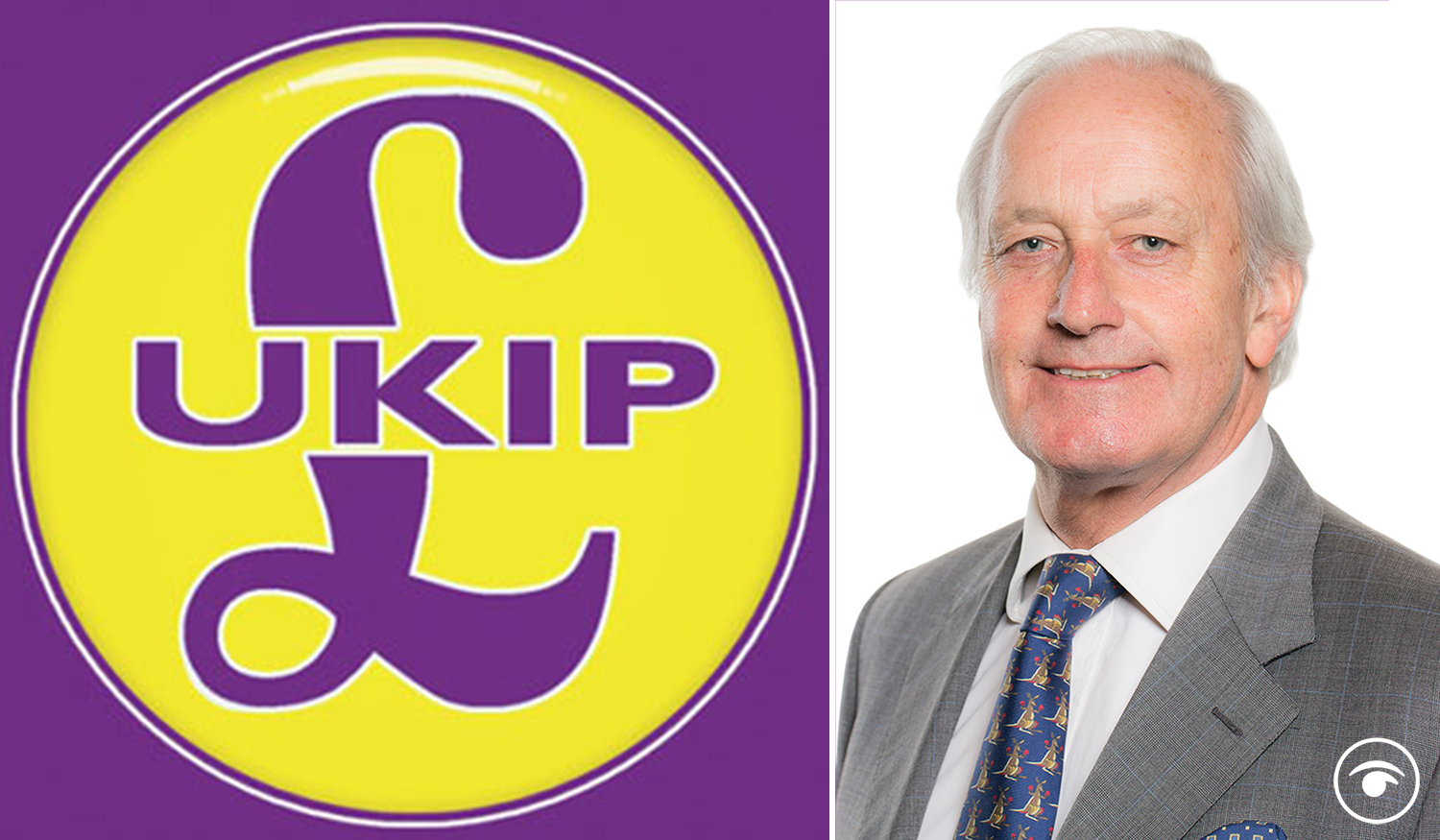 UKIP appoint disgraced former MP as new leader