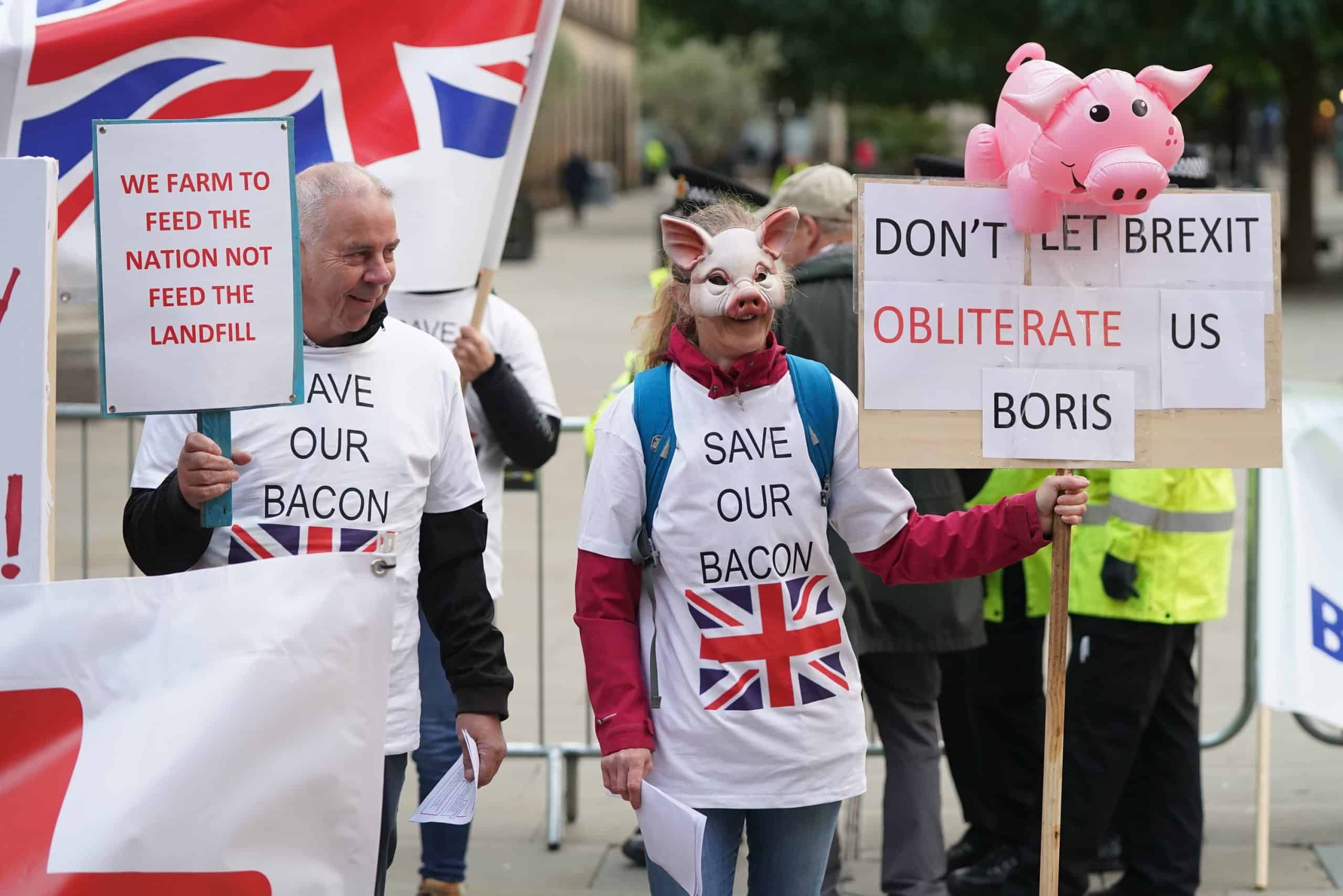 Saving our bacon: Boris sends for European butchers to end pork crisis