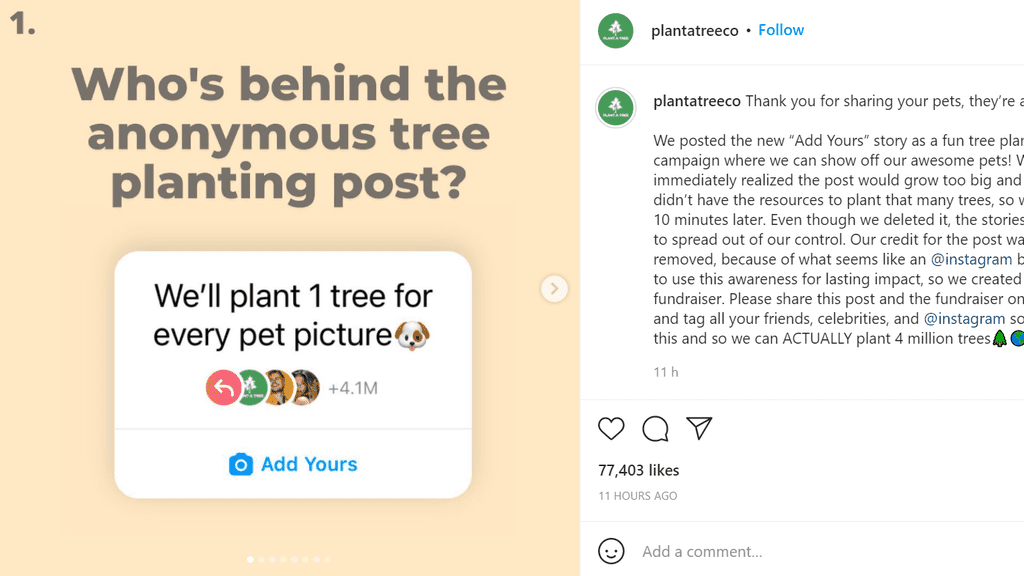 Viral ‘1 tree for every pet picture’ trend unlikely to lead to any trees being planted