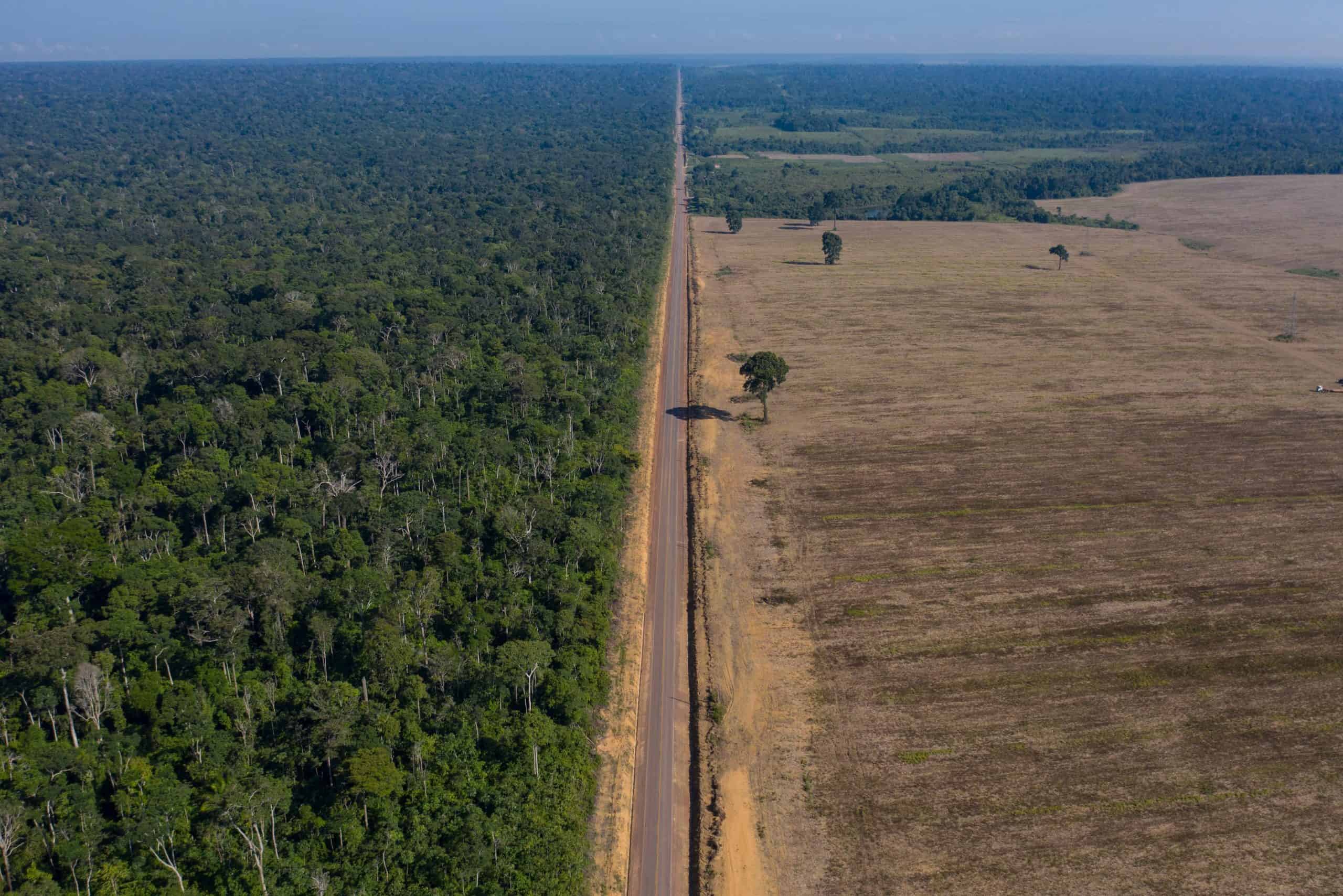 ‘It is a crime’: Amazon deforestation surges to worst in 15 years