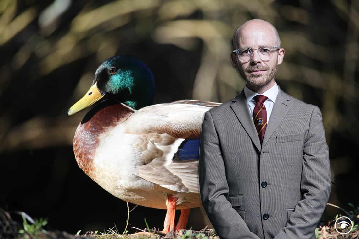 SNP MP gives Downing Street Xmas party the duck test in hilarious Commons speech