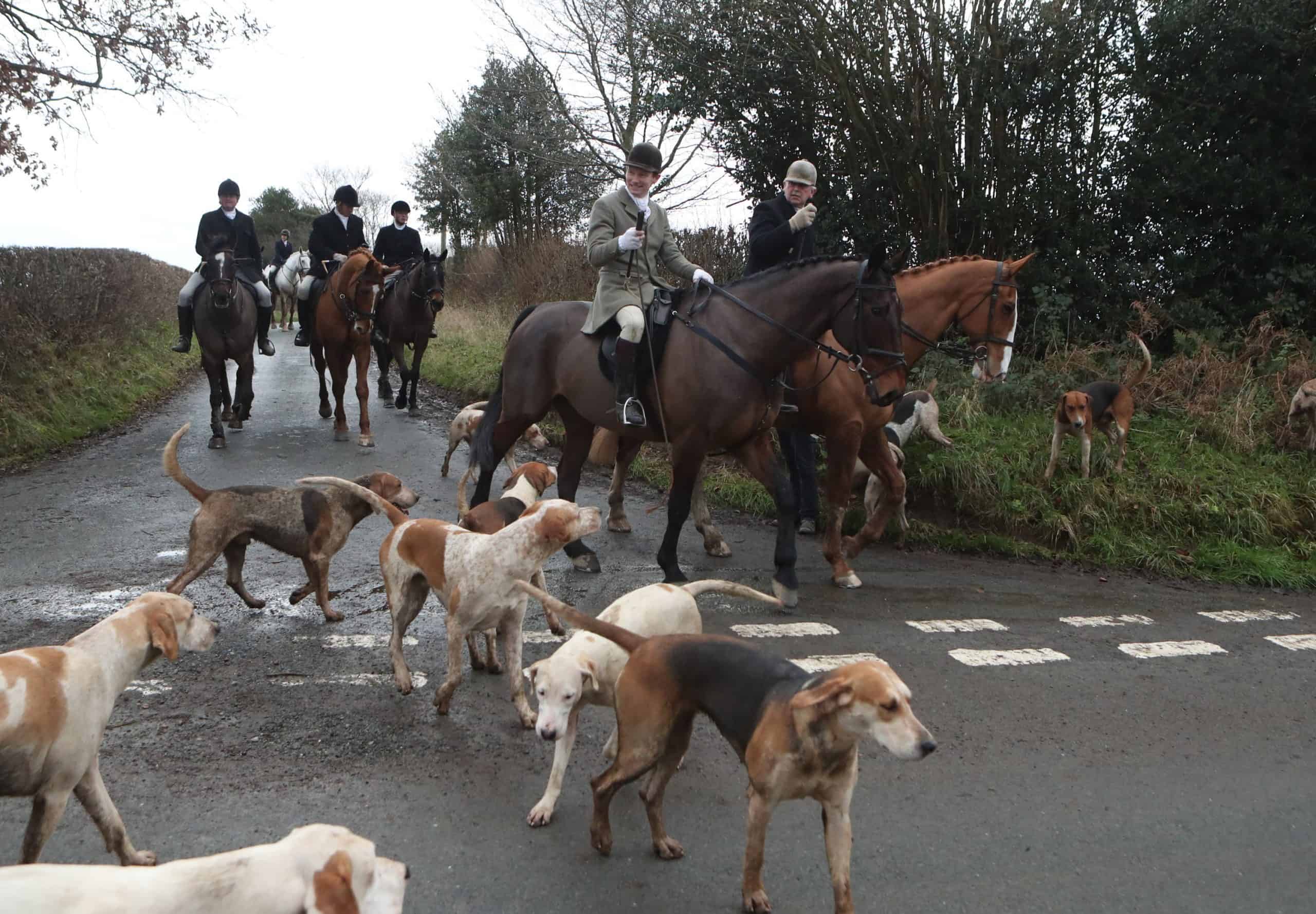 Boxing Day hunts go ahead despite Covid and calls for ban