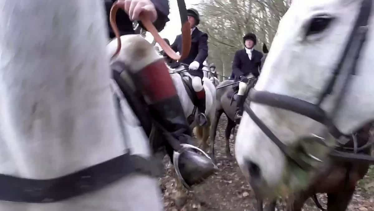 Watch: Hunt saboteur allegedly knocked to ground by ‘aggressive’ huntsman