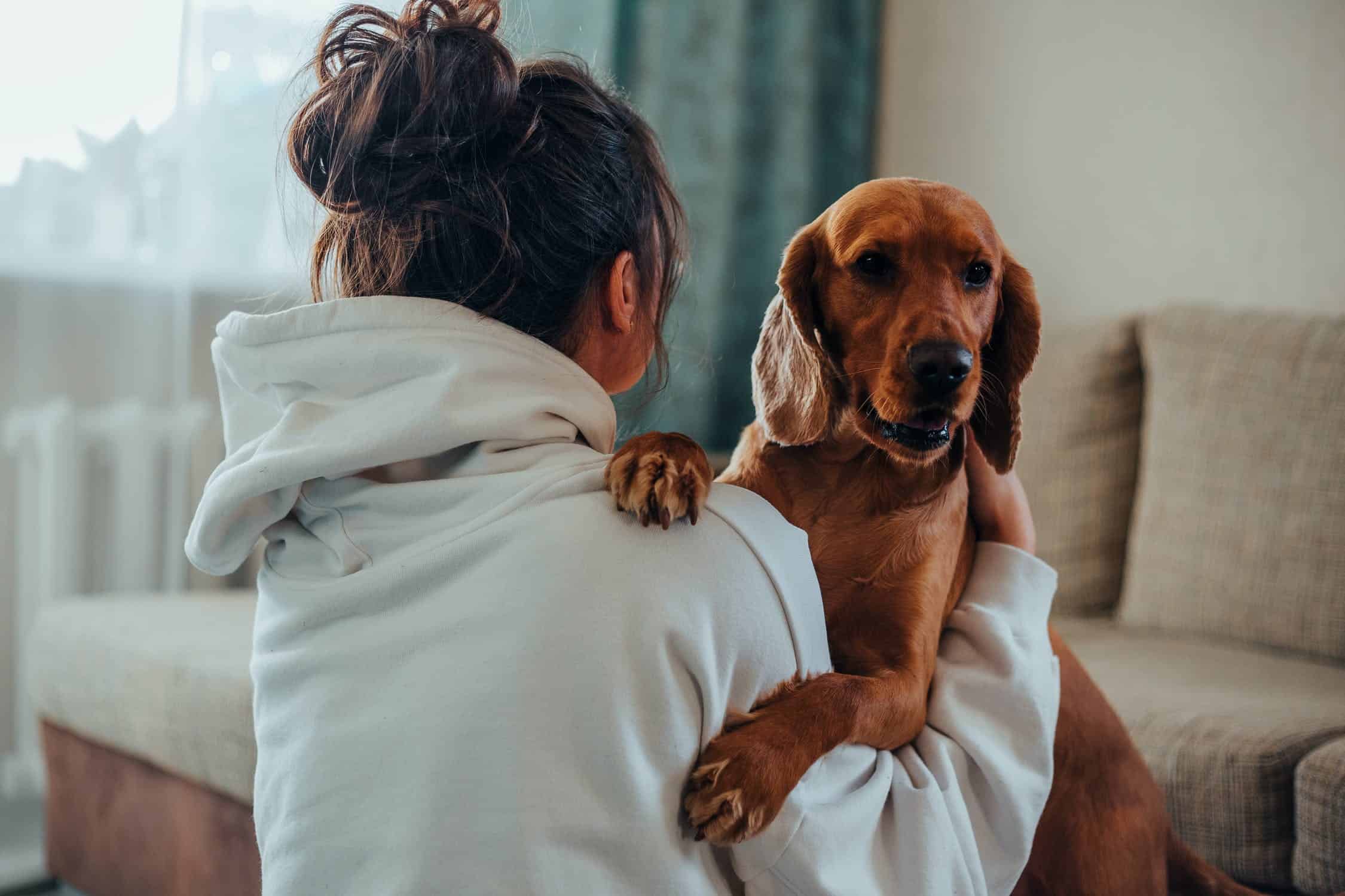 Energy firm tells customers to cuddle pets and hula hoop to stay warm this winter