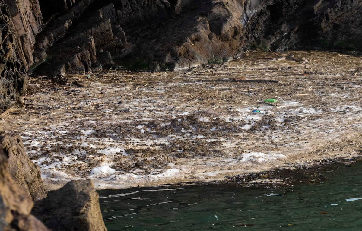 Swimmers’ seaside lido ruined by a huge discharge of raw sewage that has turned the water murky brown