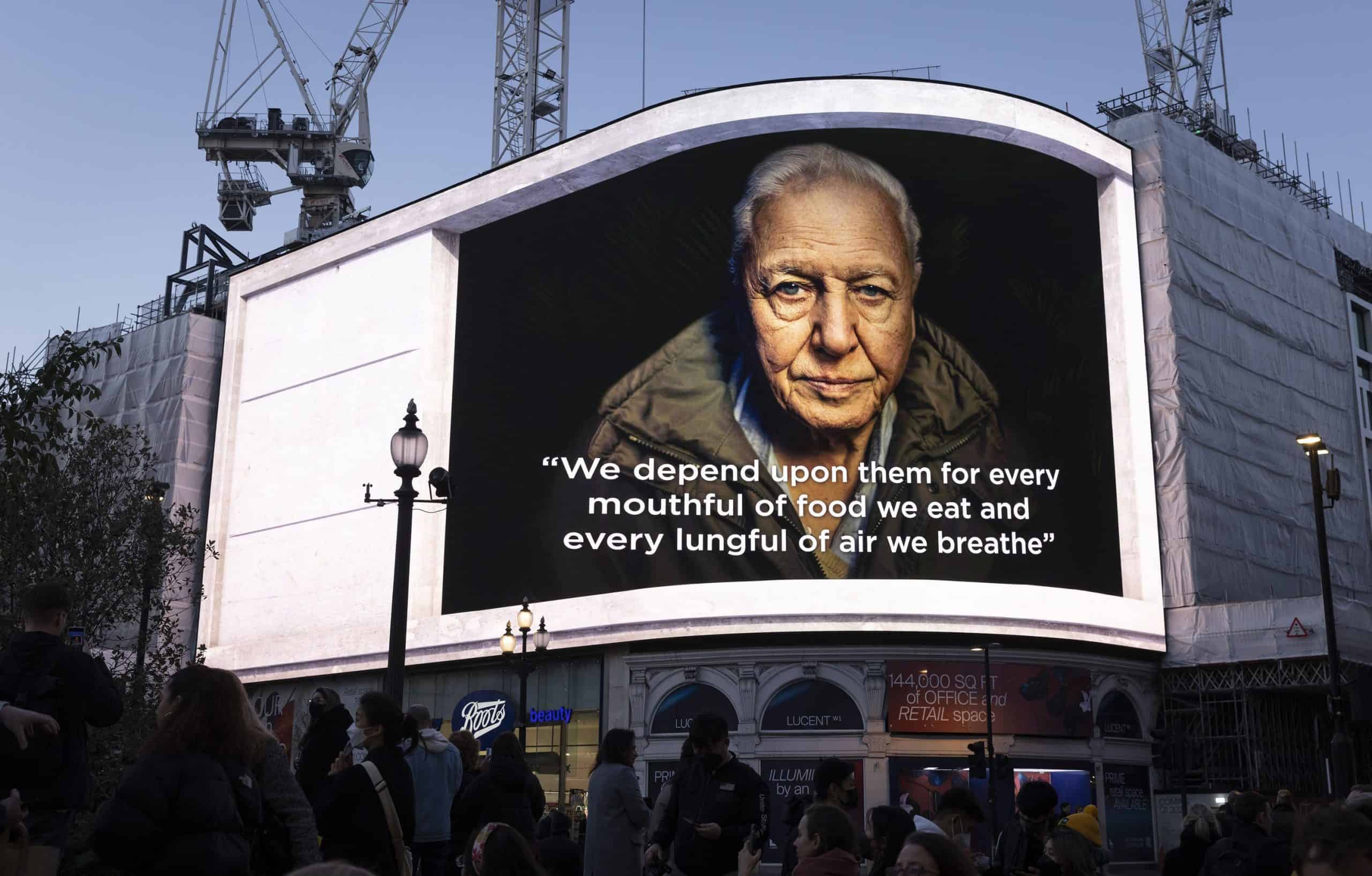 Watch: David Attenborough lights up Piccadilly Circus with message about survival of planet