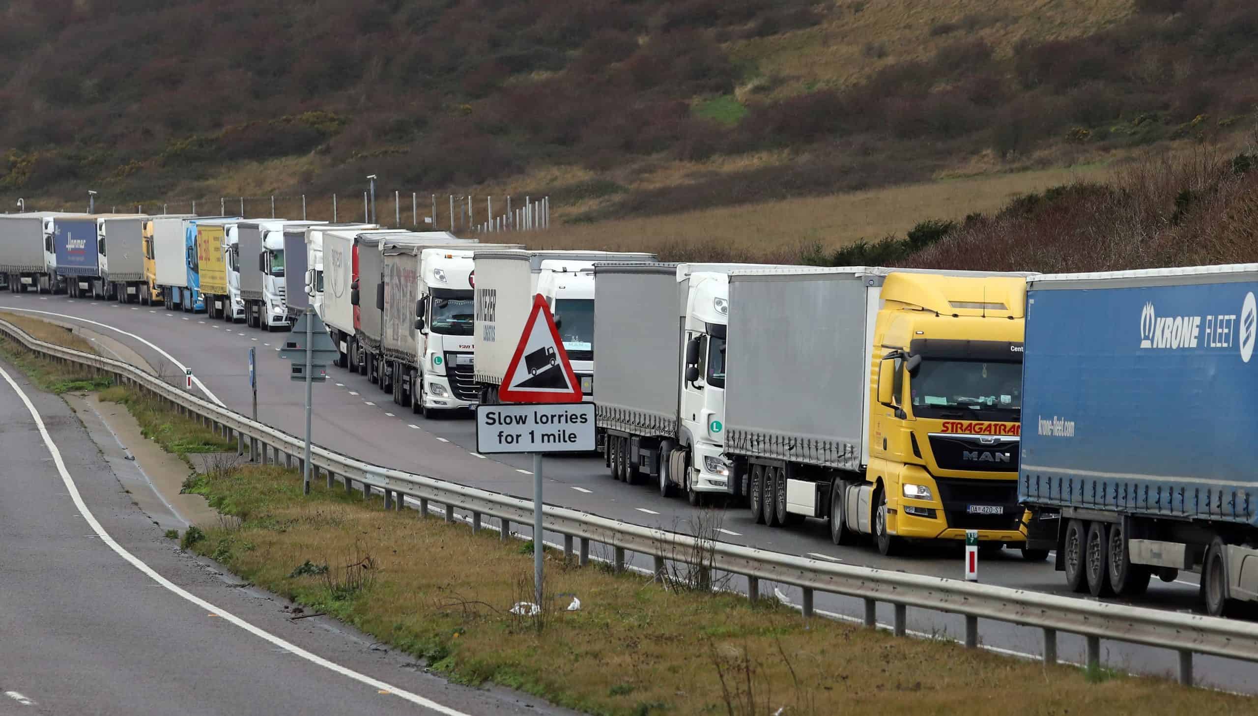 Watch: Reactions as Tory MP for Dover tells Commons traffic jams are ‘not because of Brexit’