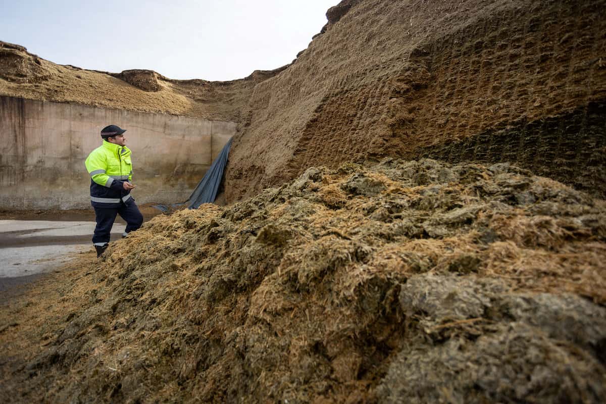 Town first in Britain to get all gas supply from renewable energy – made from animal manure