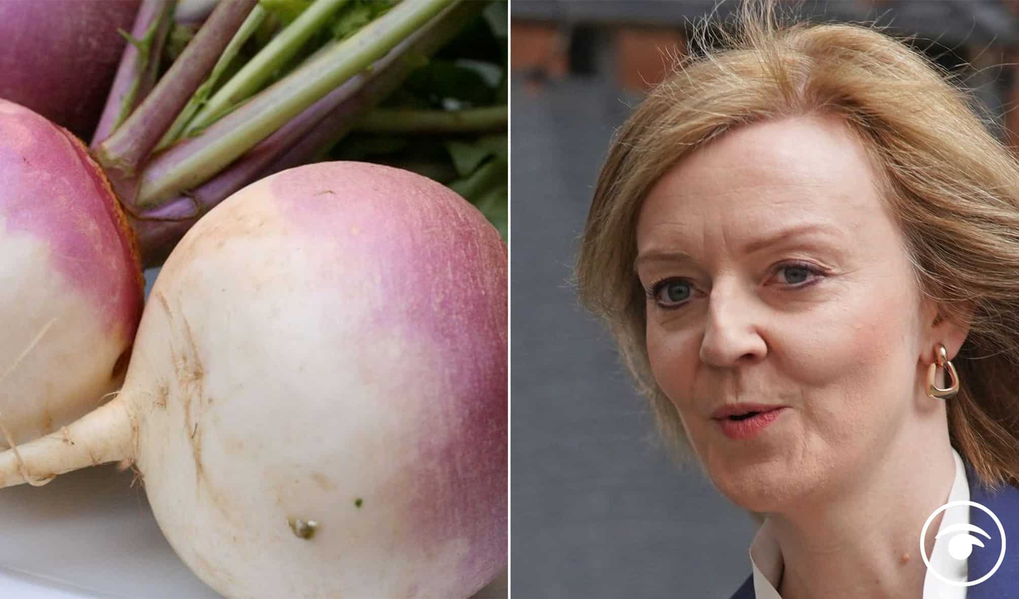 Truss accused of saying Brexit would only impact farmers carrying turnips – reactions