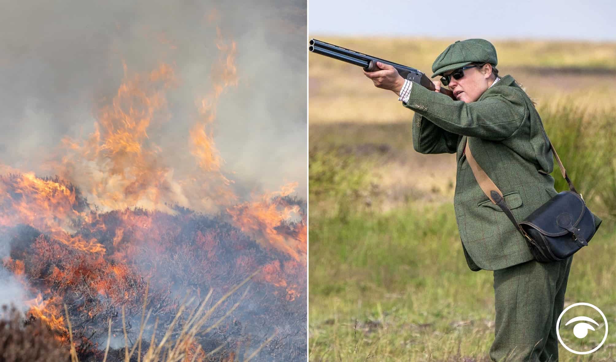 Officials investigate reports of burning protected peat by shooting estate owners