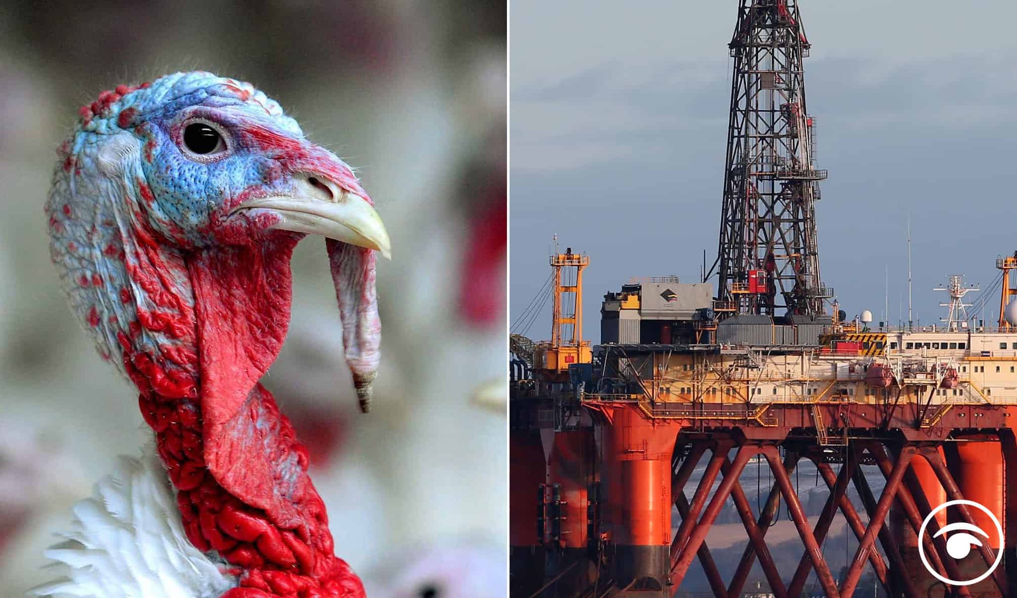 Turkey doesn’t vote for Xmas: Oil and gas industries reject call for windfall tax