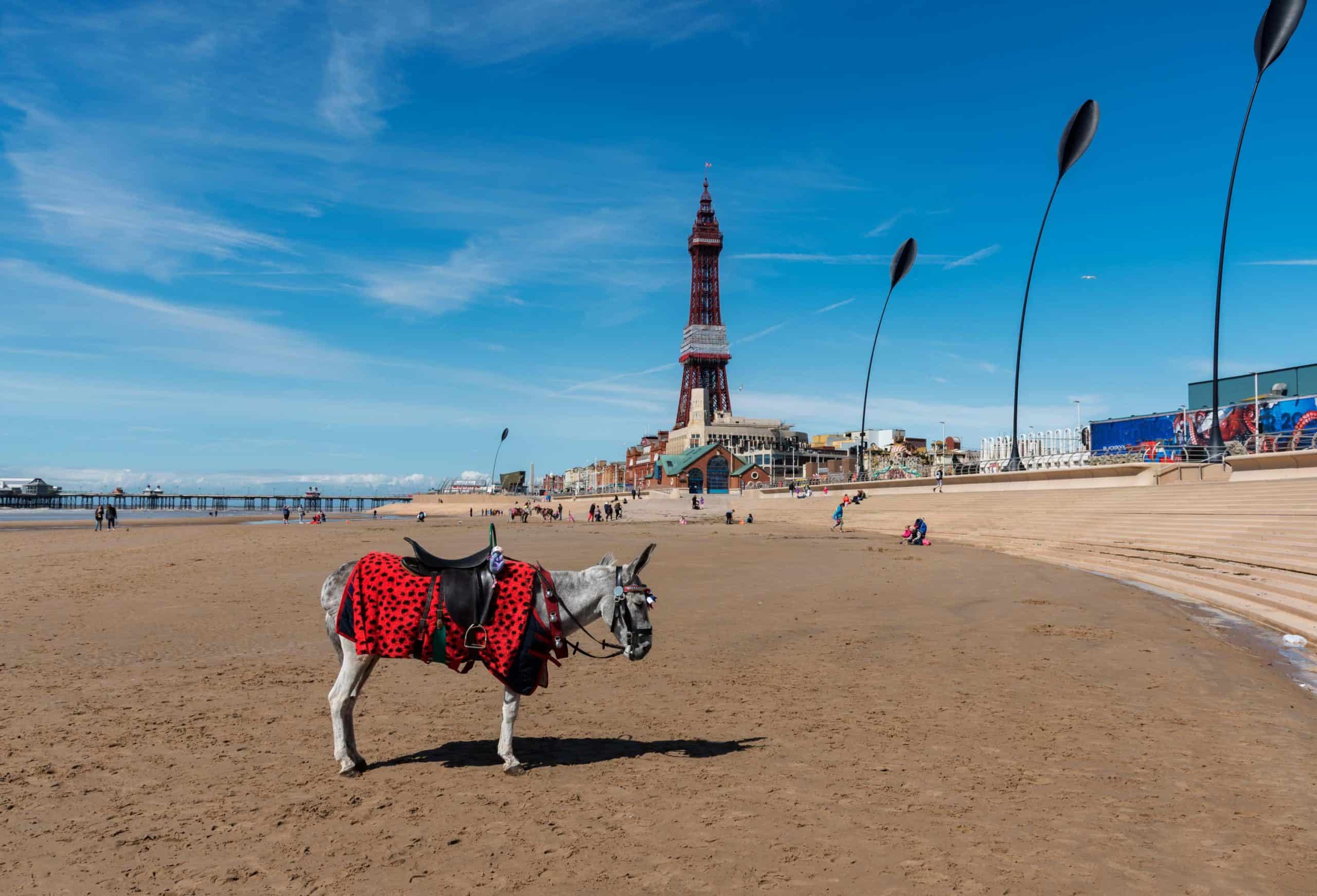 Beachgoers at British hotspots told not to enter the water