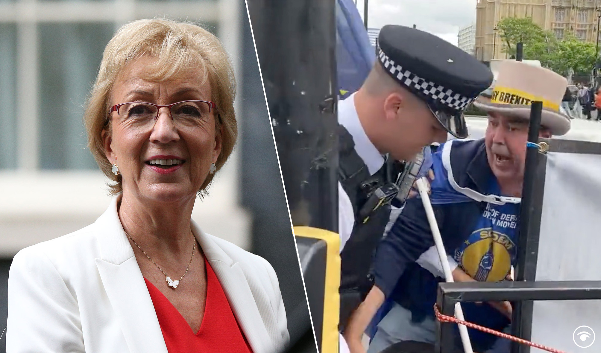 Andrea Leadsom dubbed a ‘dishonest authoritarian’ over Steve Bray comments