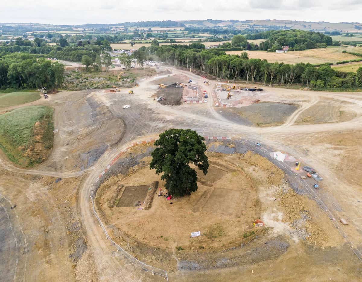 Watch: Protesters occupying 600-year-old oak tree to prevent it from being cut down – to build a £250m road