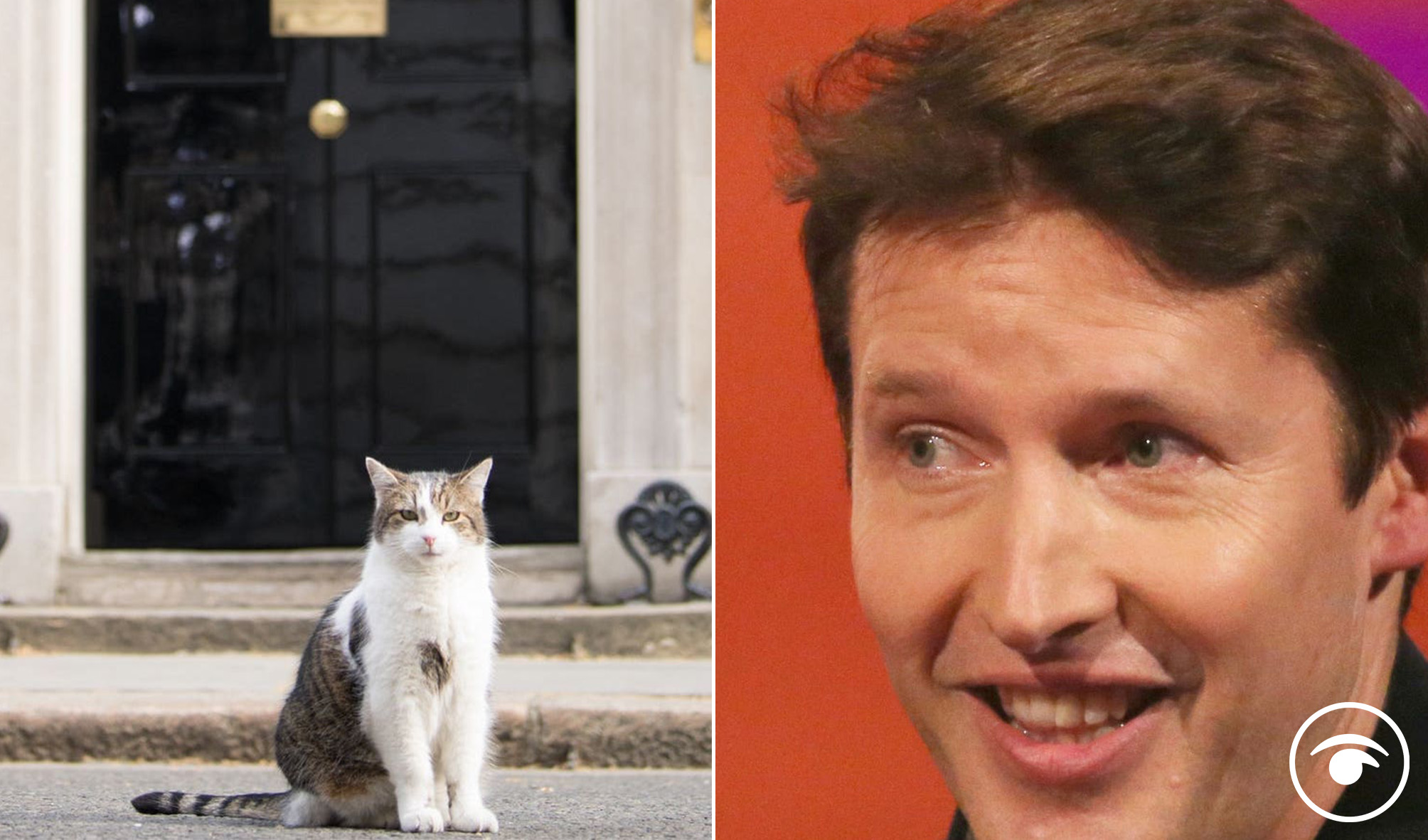 James Blunt’s response to ‘Larry the cat’ trying to smoke Johnson out of Downing Street is epic