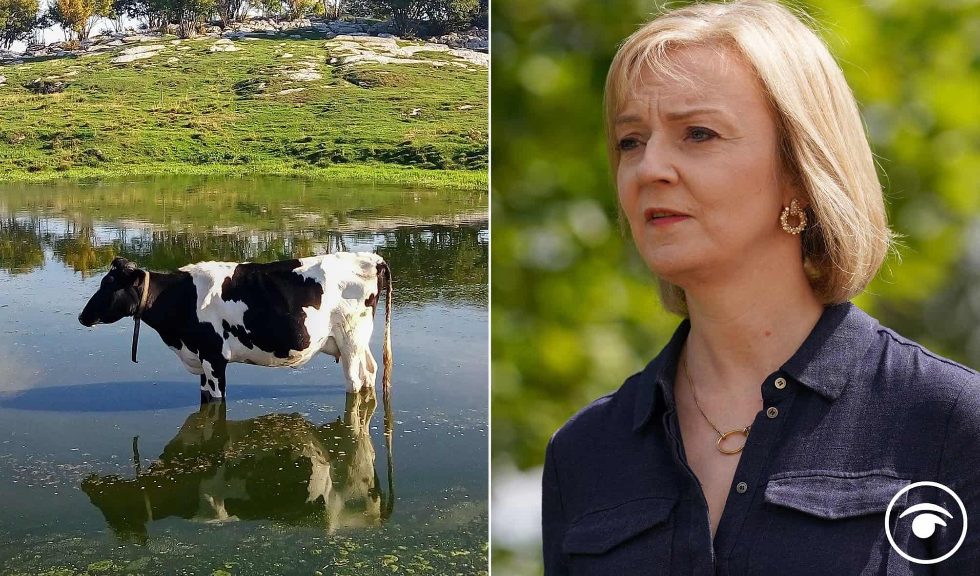 Liz Truss to ‘unleash’ British farming by removing ‘red tape’ but it hasn’t gone that well with some