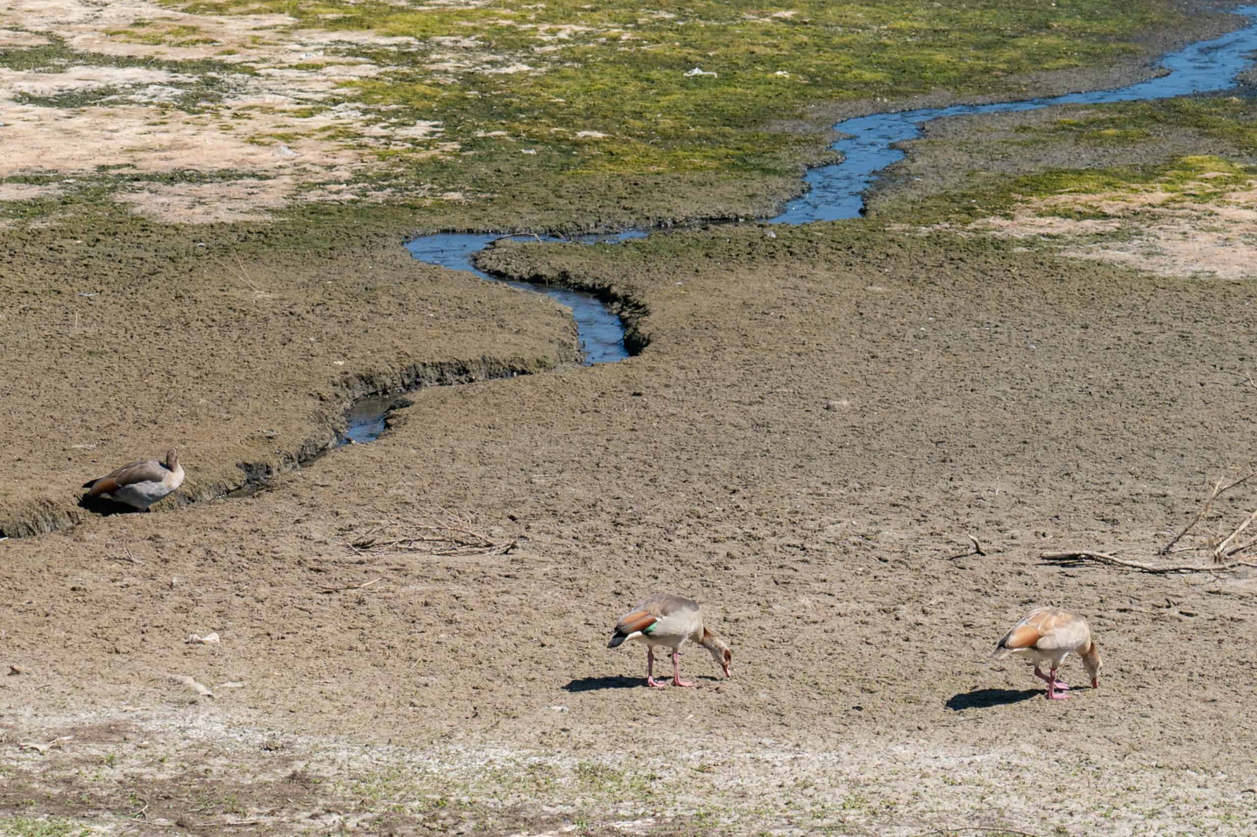 Papers: Drought to be declared as water firms miss own targets on cutting leaks