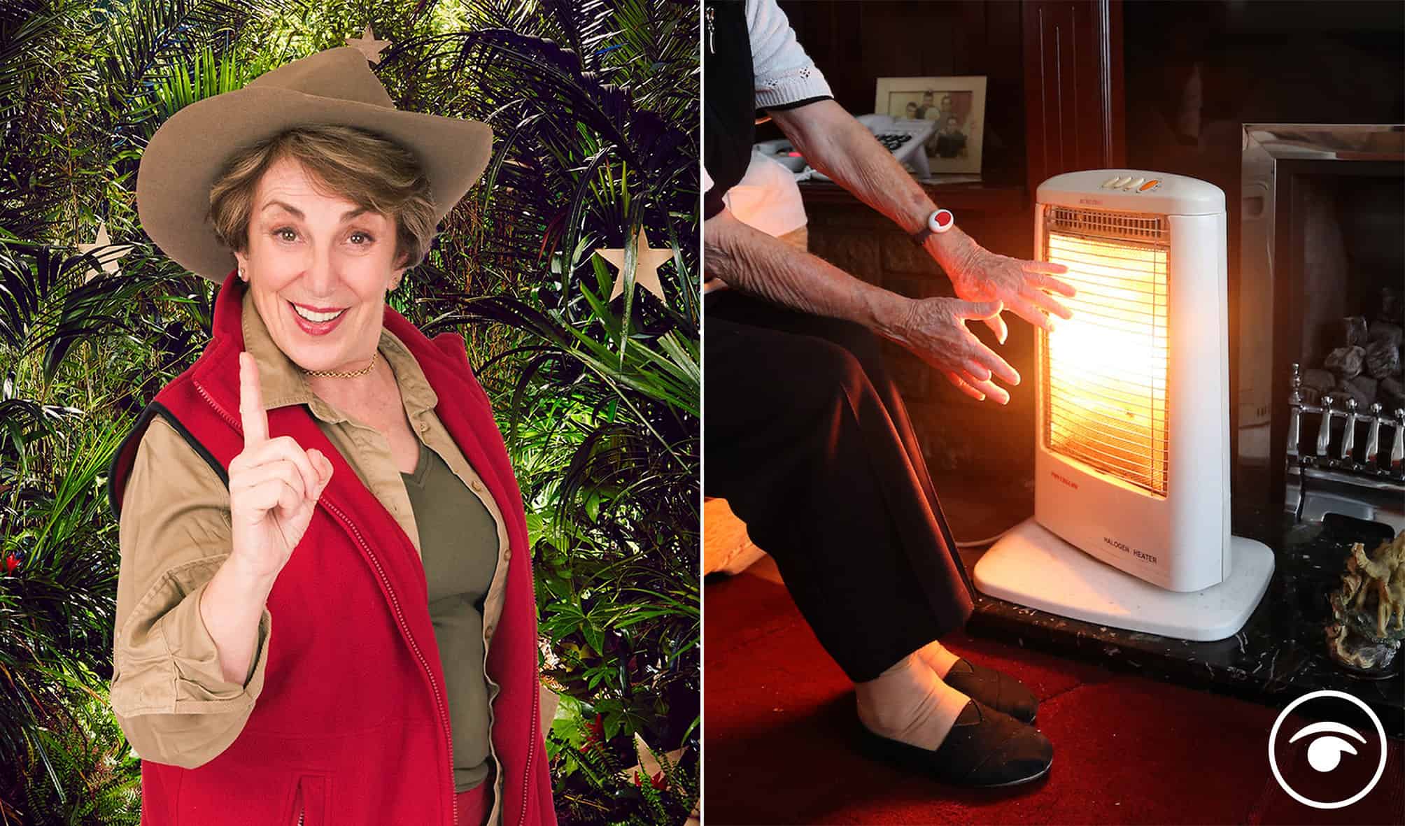 Edwina Currie slammed for her comments over cost of living crisis