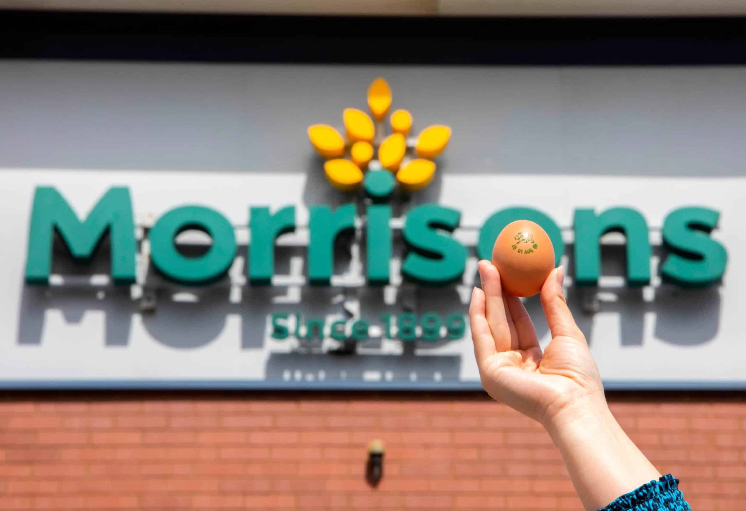 Morrisons launches ‘carbon-neutral’ eggs from hens fed on insects