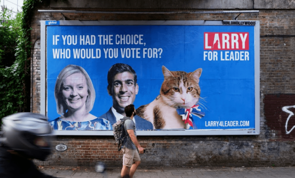 Billboards announcing Larry the cat’s bid for PM spotted