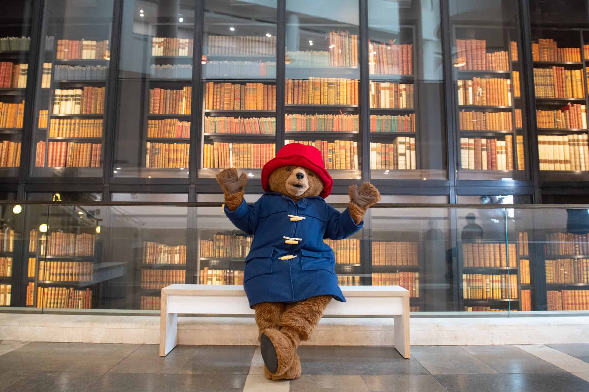 Watch: BBC ridiculed for sharing ‘shock’ news about Paddington Bear