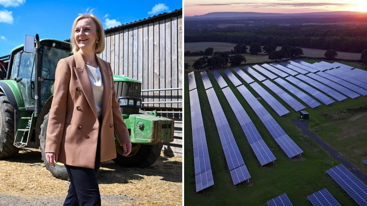 Reaction as Truss moves to ban solar panels on farms