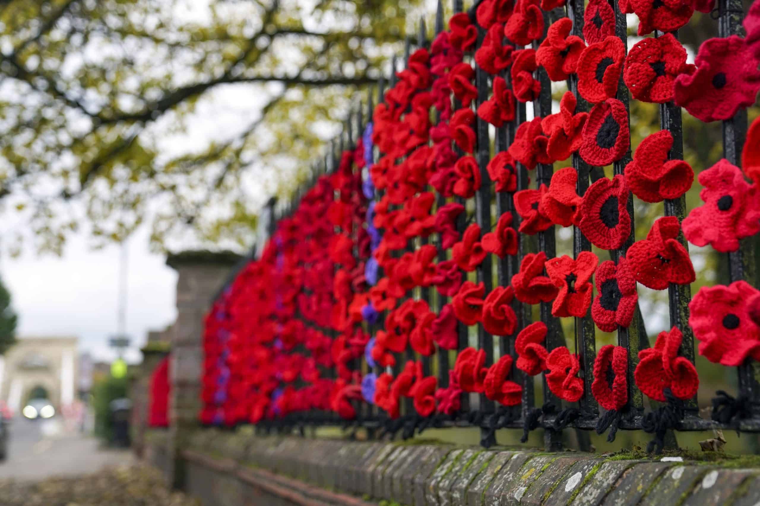 Ministers back-pedal following ‘outrageous’ decision to scrap free remembrance services train travel