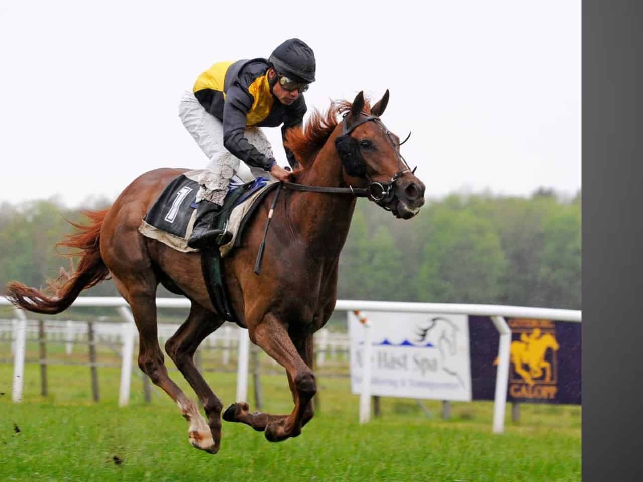 Corach Rambler Flies the Scottish Flag at the Aintree Grand National