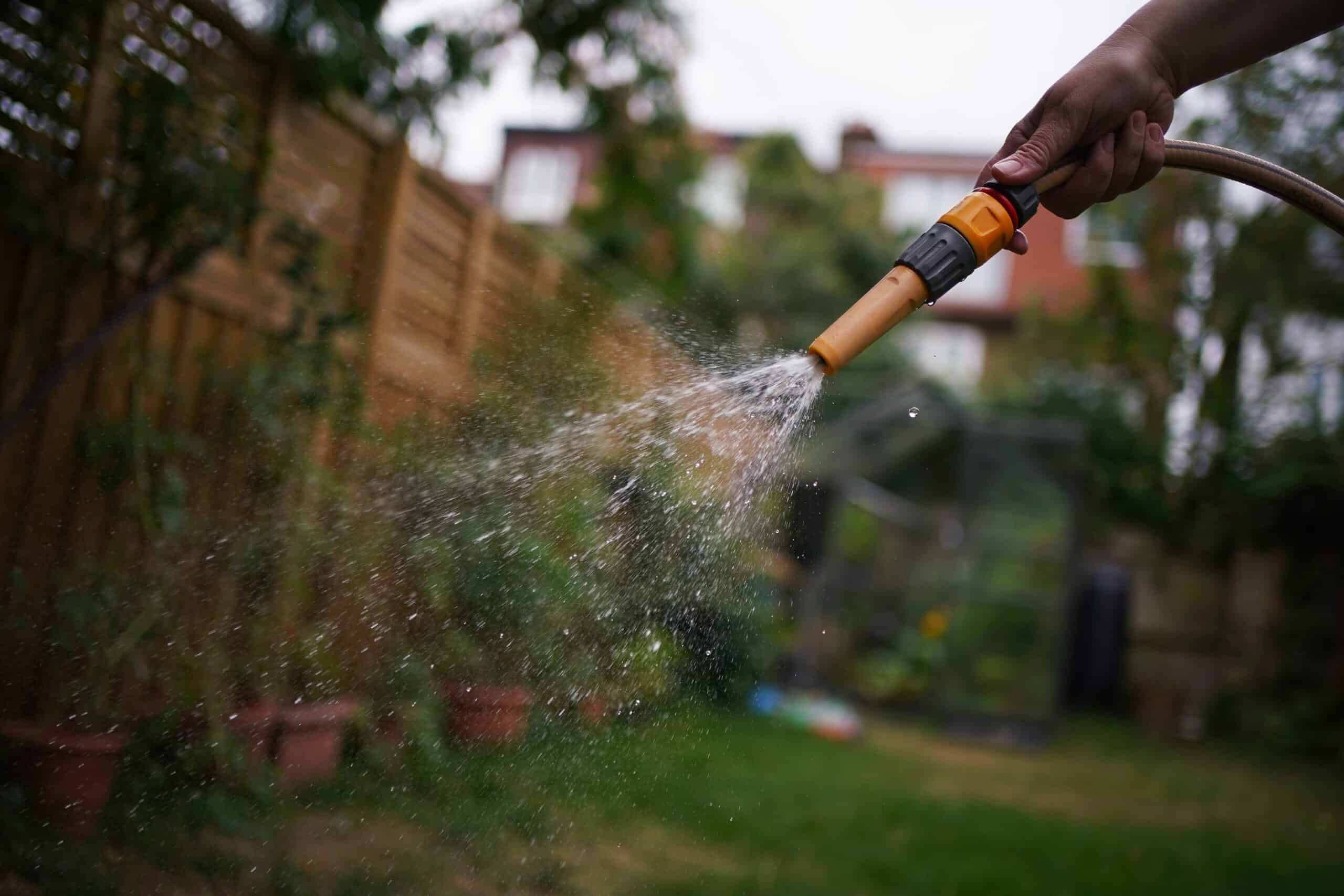 Hosepipe ban for Kent and Sussex ‘within days’