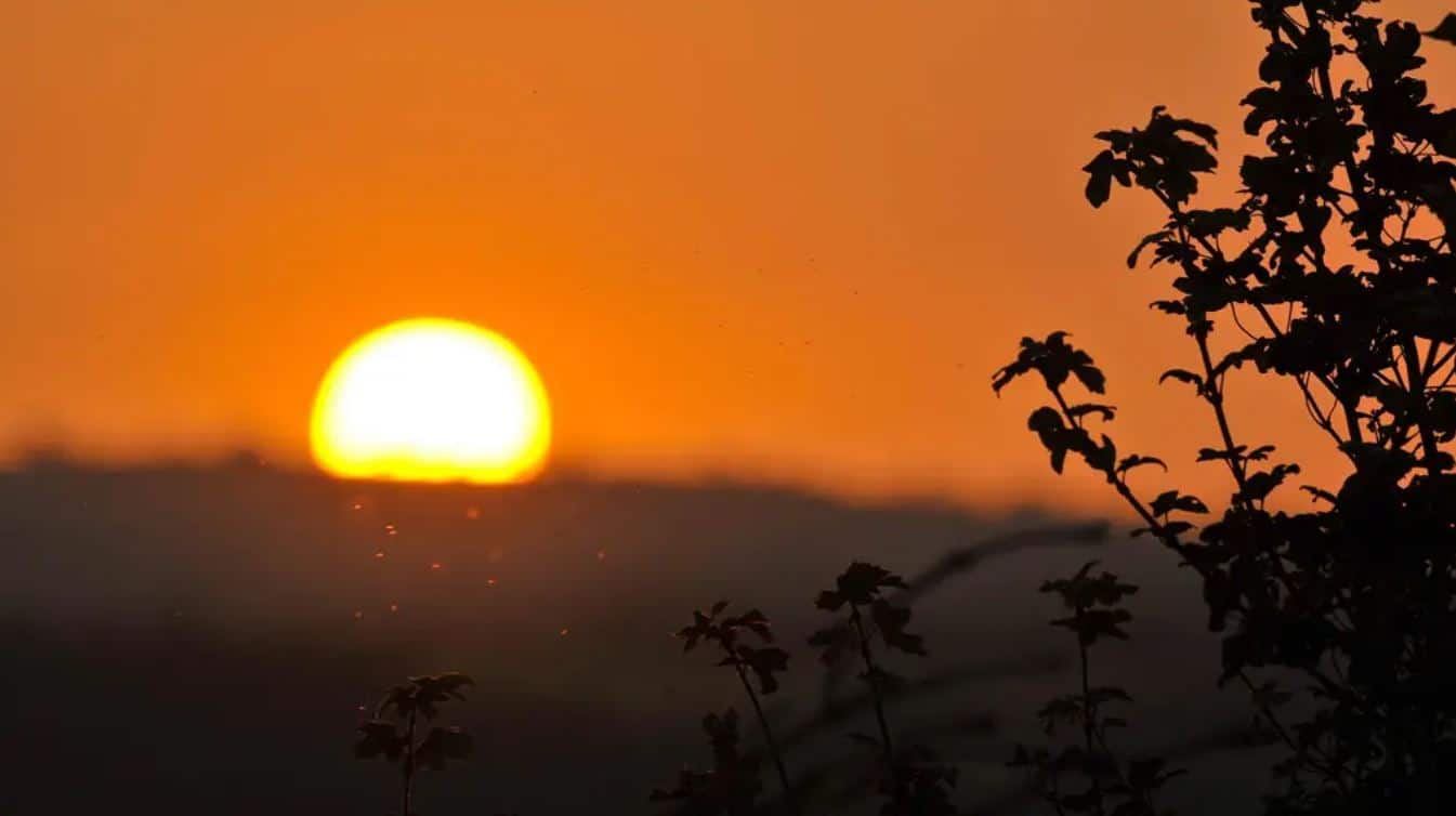 2023 was second warmest year on record for UK, says Met Office