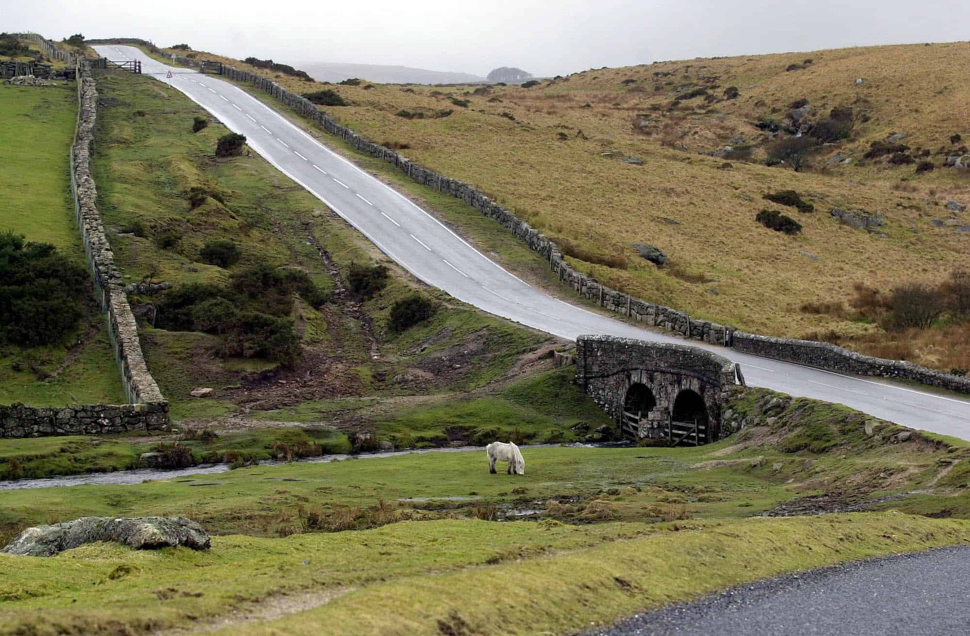 Protesters to descend on Dartmoor for largest mass trespass in a generation