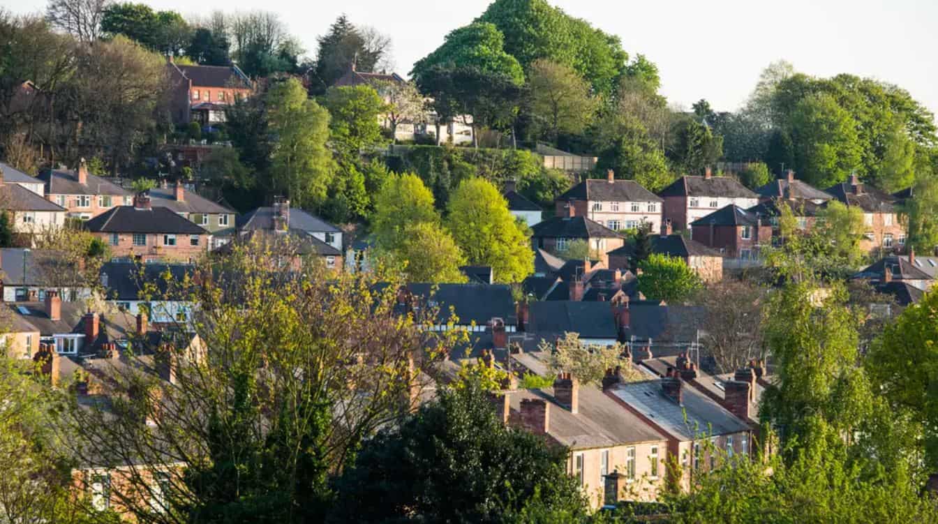 Boost trees and environment to relieve pressure on NHS, politicians urged