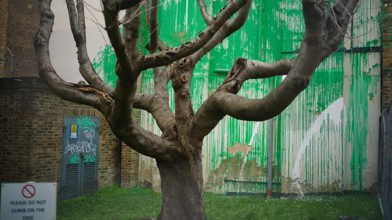 Banksy tree mural defaced with white paint