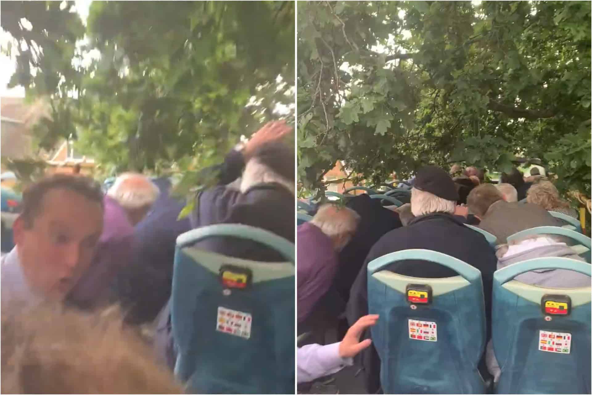 Pensioners throttled by trees on board ReformUK battle bus