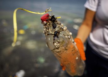 Ezra Acayan/Getty Images