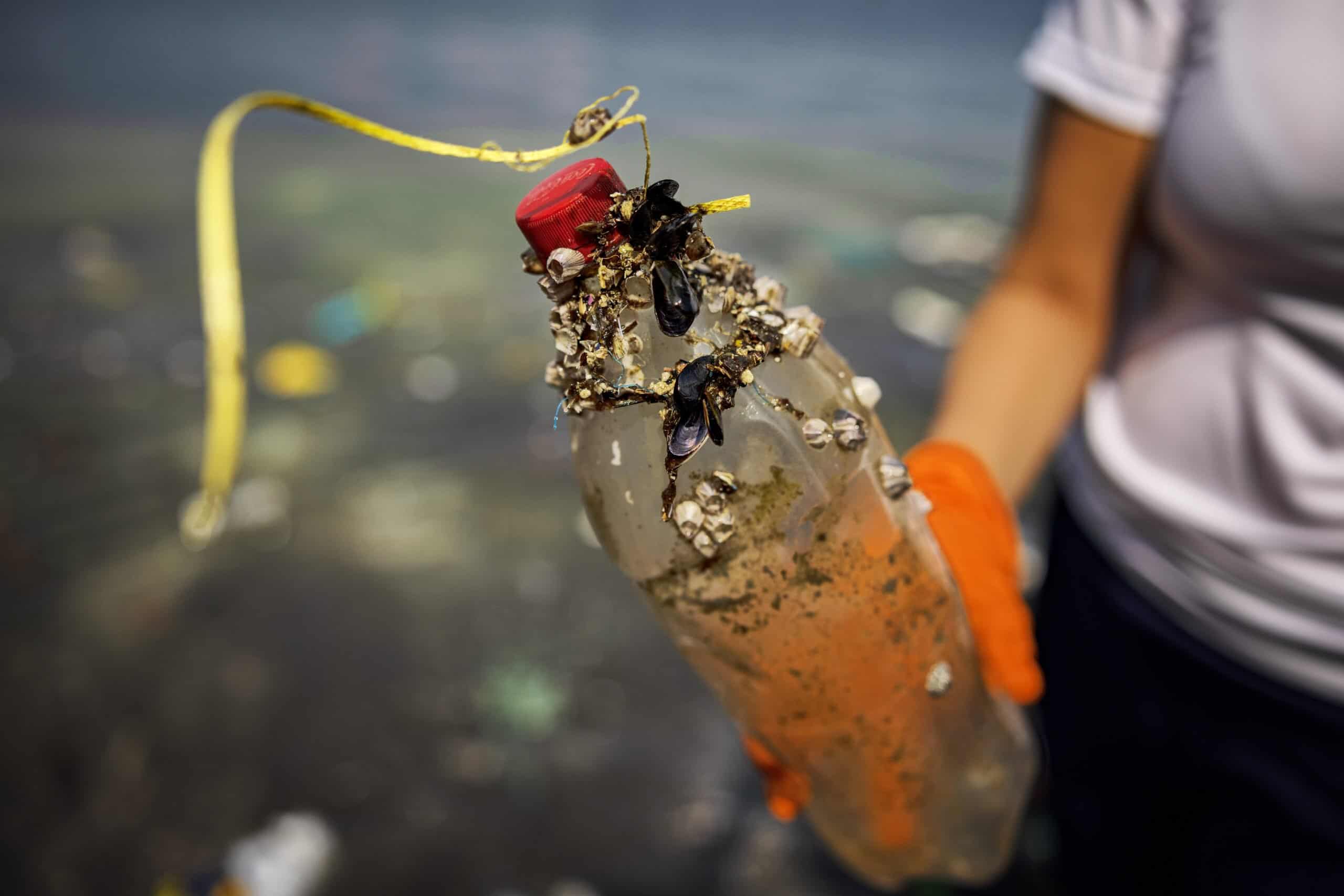 Brexiteers have taken to shouting at plastic bottle tops – here’s why connected caps matter