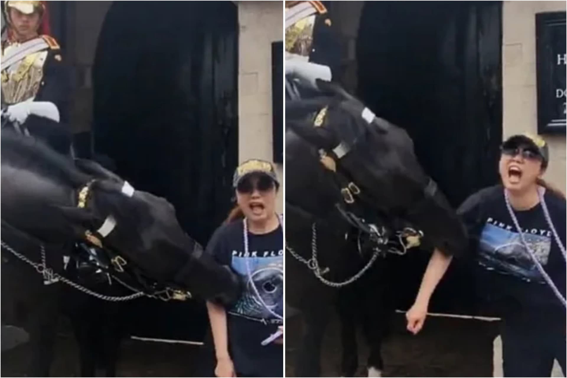 London tourist faints after King’s Guard horse bites her while posting for photo