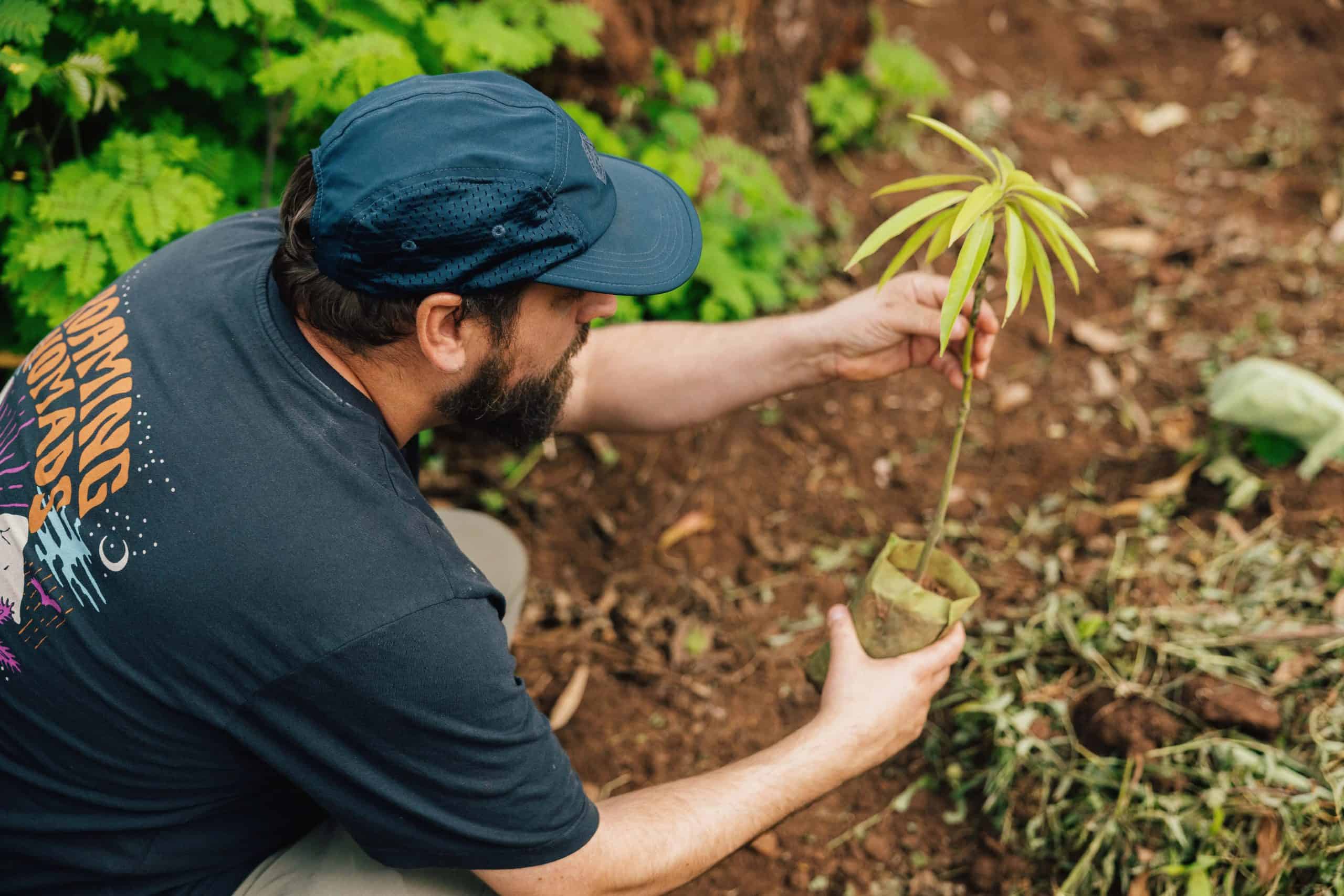 Passenger: The sustainable clothing brand that has planted a million trees