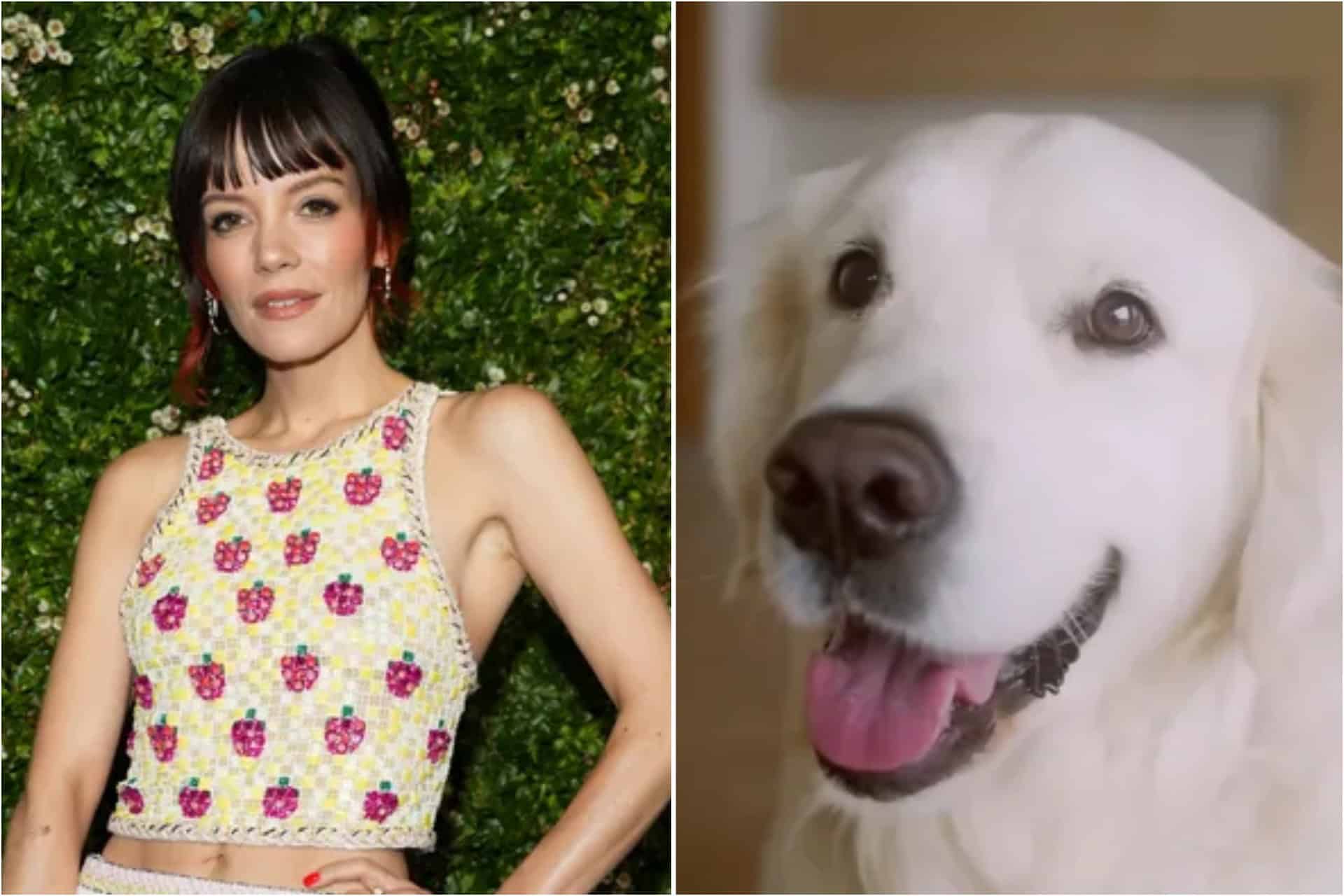 PETA sends Lily Allen brutal present after she returned dog for eating her passport