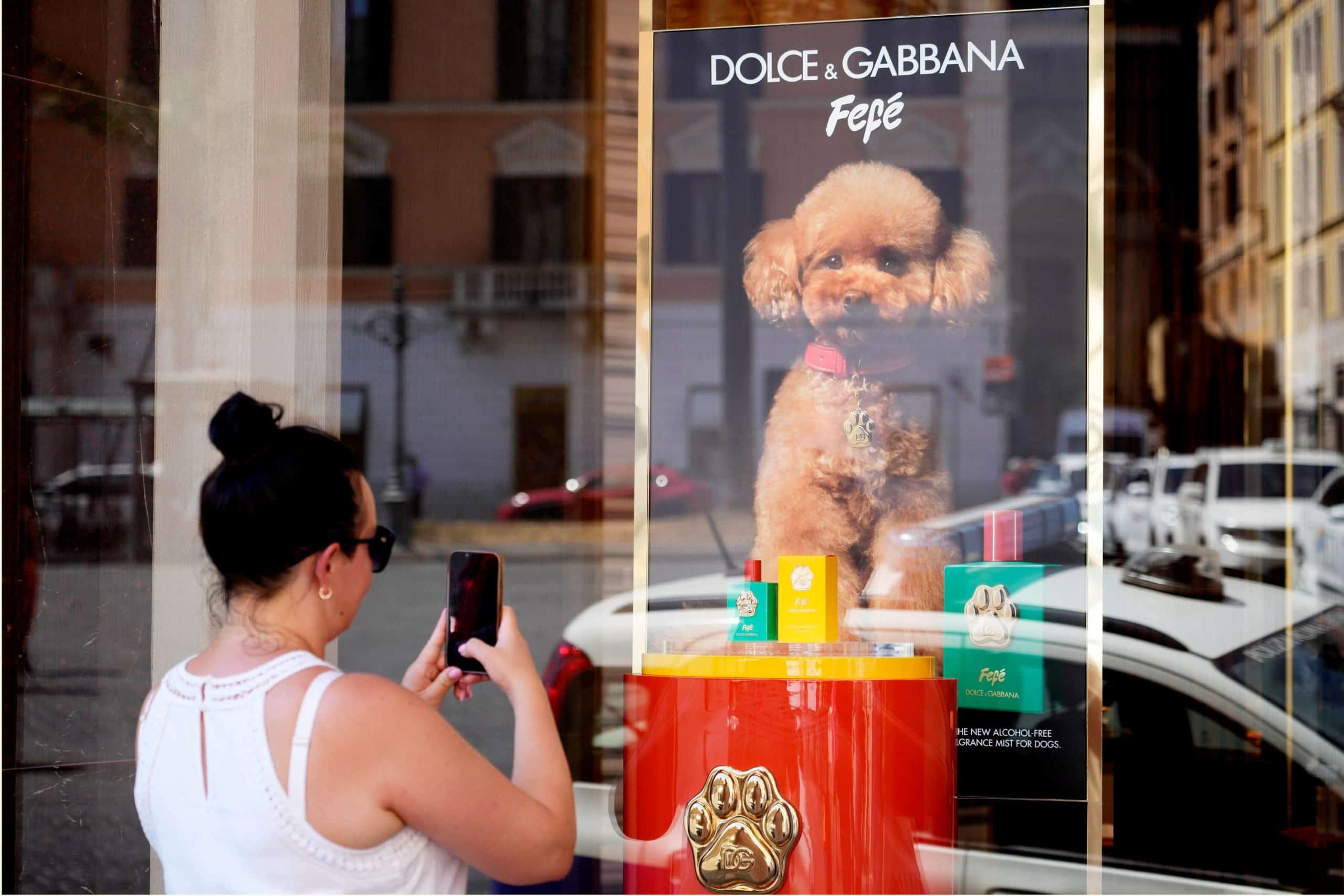 Dolce & Gabbana launches new perfume for dogs