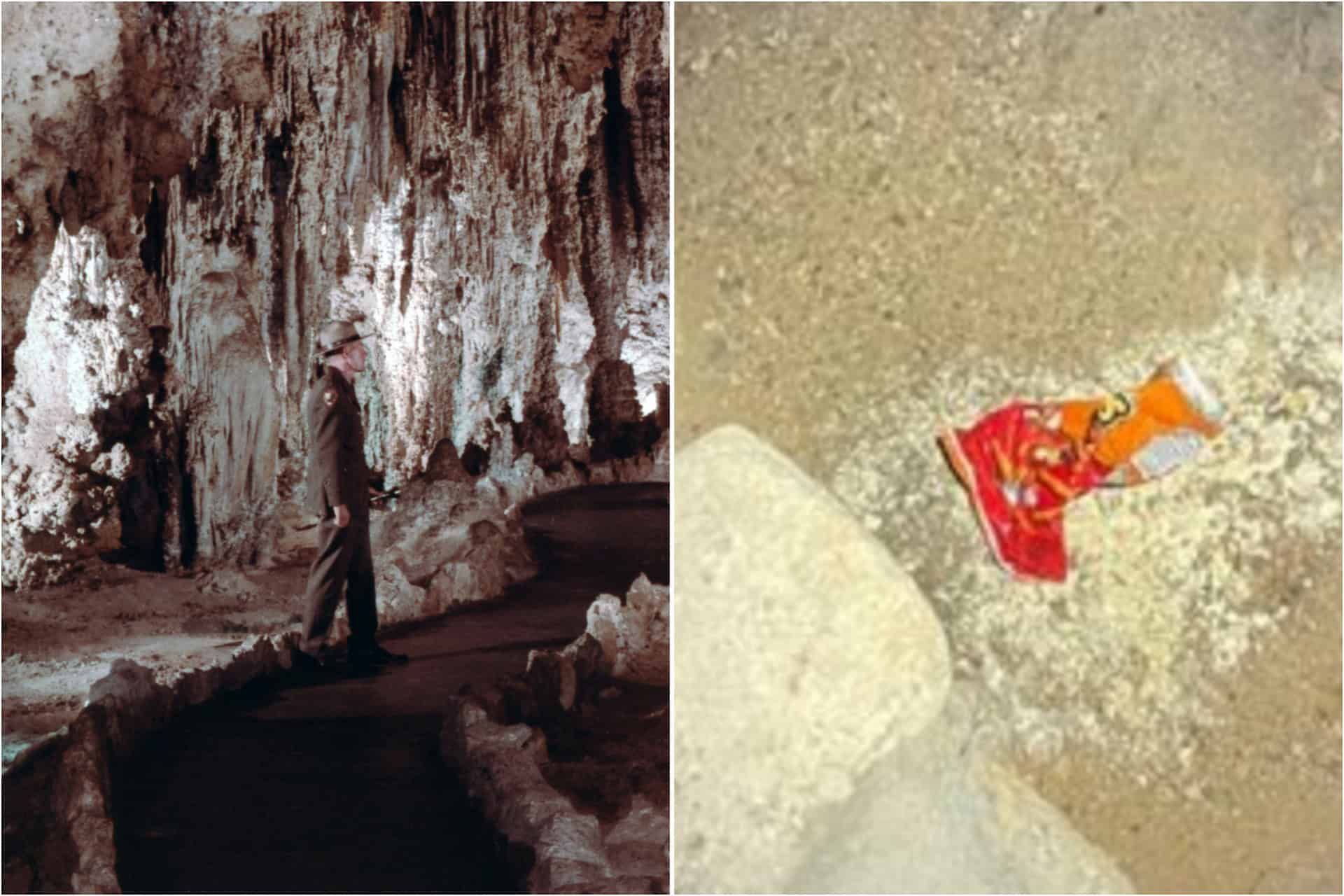 Bag of Cheetos dropped at US National Park could have ‘World-changing’ ramifications