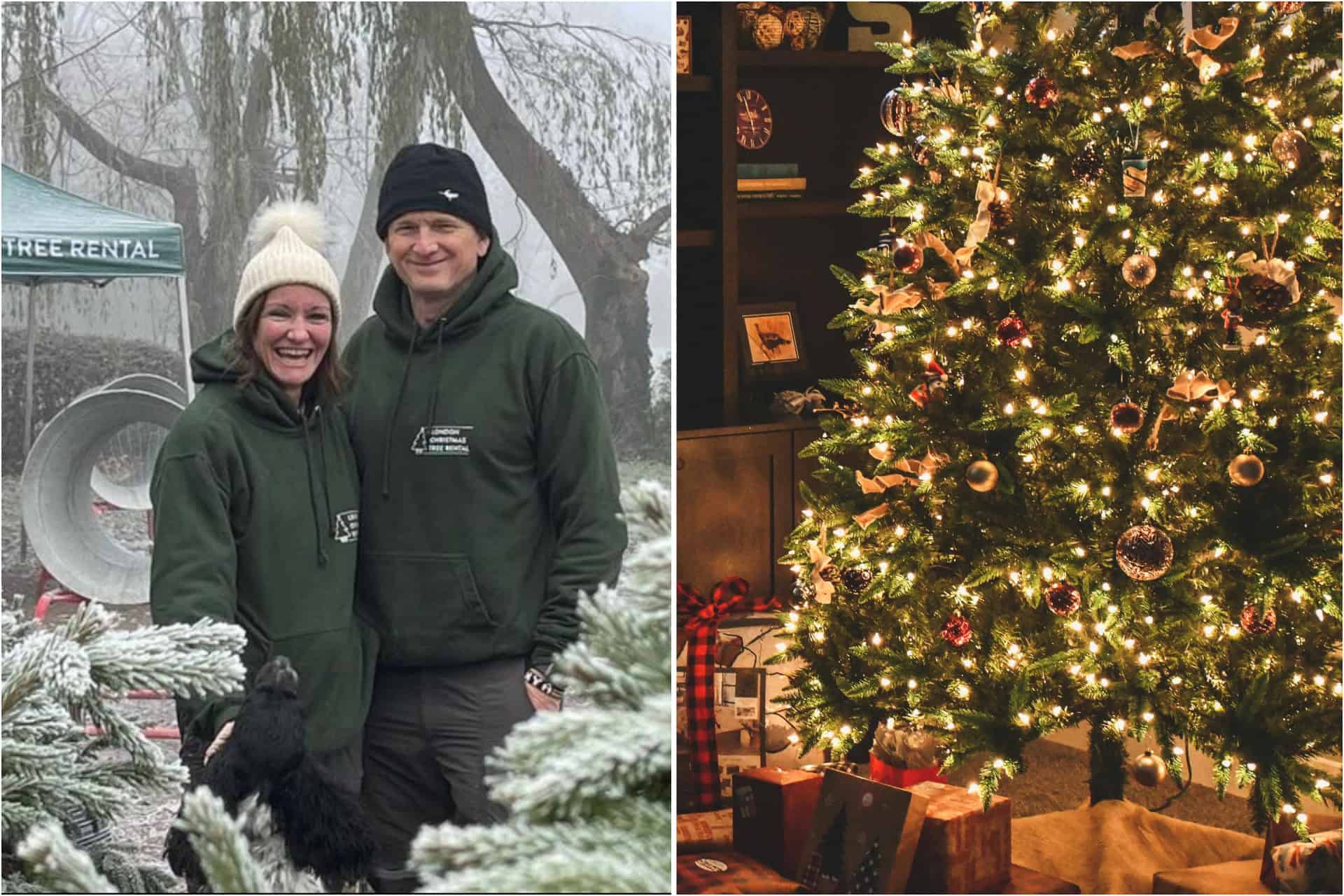 London company will rent you a Christmas tree and give it back the following year