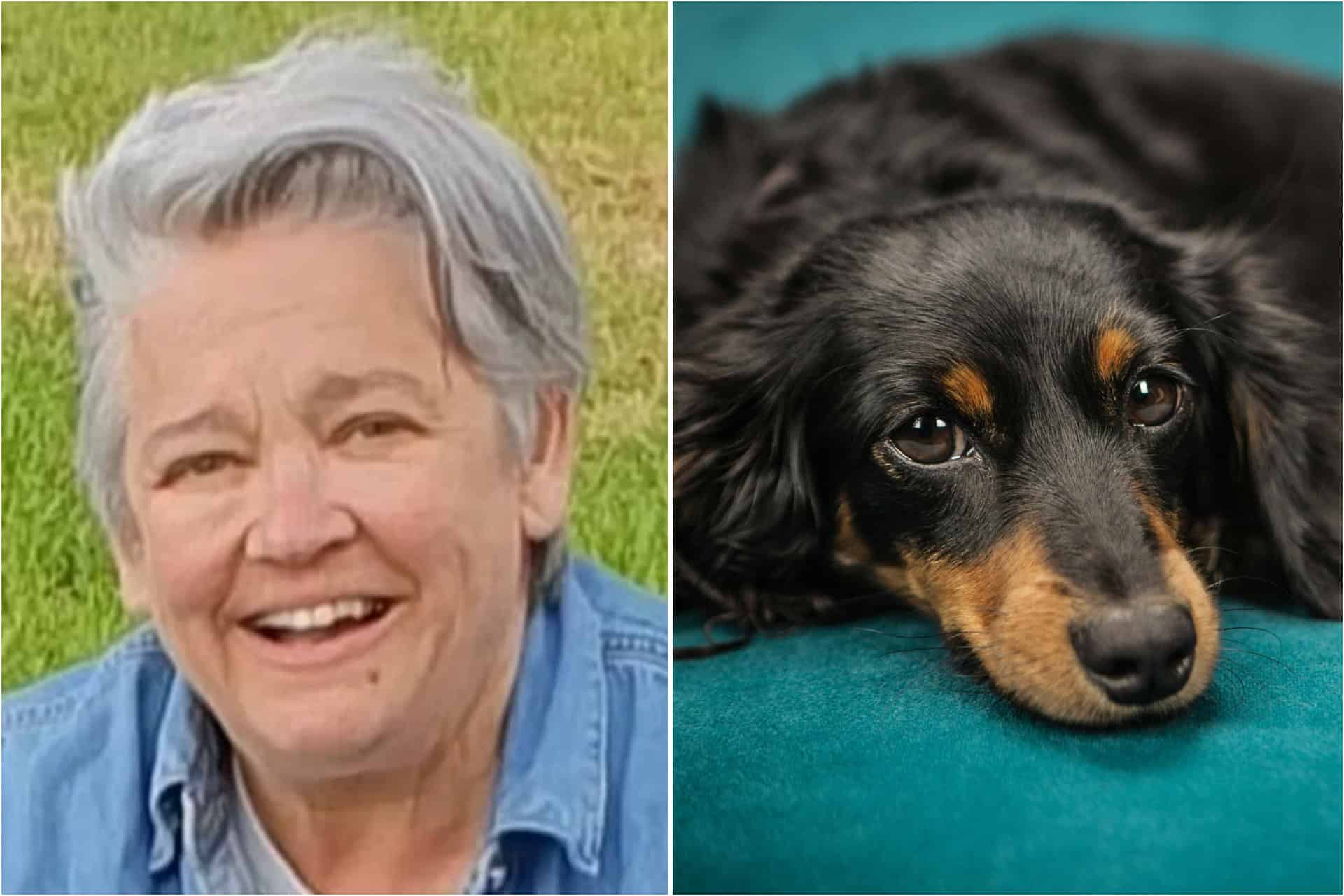 Social worker wins £55,000 after row about gender-fluid dog