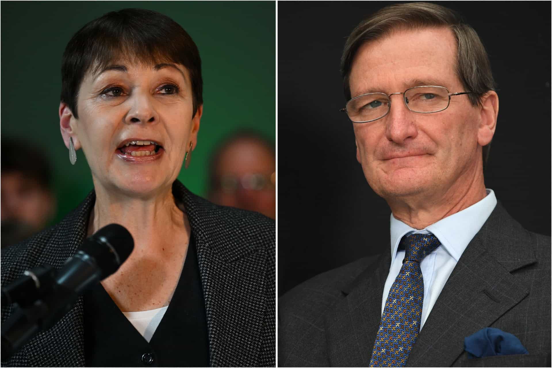 Dominic Grieve and Caroline Lucas unveiled as new co-presidents of European Movement UK