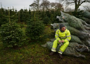 Ian Forsyth/Getty Images