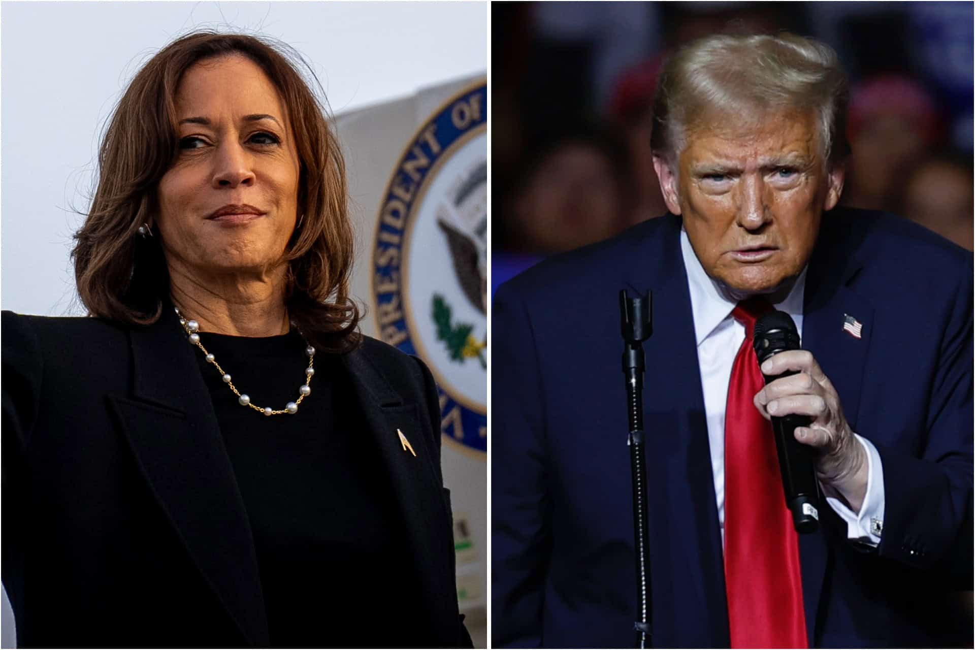 America’s most accurate pollster hints that a Harris landslide could be on the cards