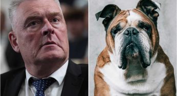 Lee Anderson up in arms over plans to ban ‘racist dogs’ from the Welsh countryside